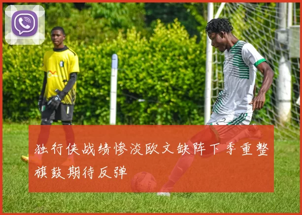 独行侠战绩惨淡欧文缺阵下季重整旗鼓期待反弹
